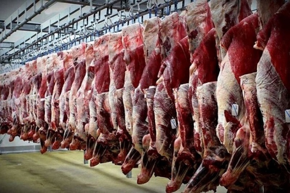 افزایش تولید هم مانع جهش قیمت نشد؛ رد پای دلالان در گرانی گوشت قرمز