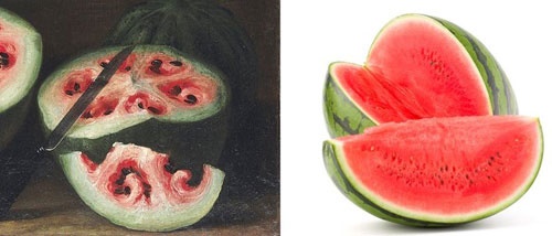 هندوانه و موز قبلا چه شکلی بودند؟/تصاویری که شاید باورتان نشود