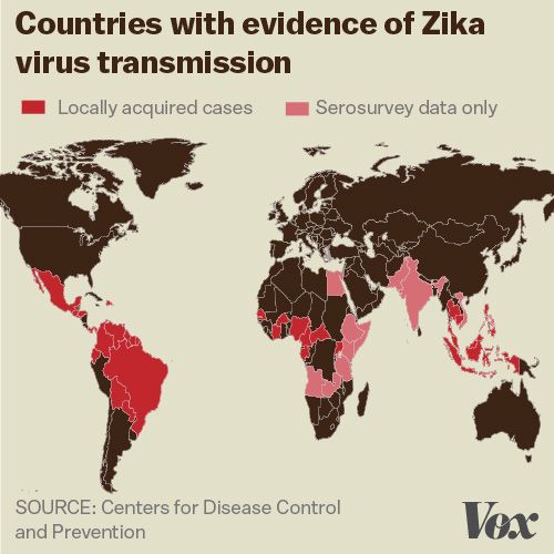 ویروس زیکا در چه مناطقی از جهان تایید شده است؟ + نقشه