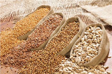 واردات بیش از 94 درصد دانه‌های روغنی از خارج از کشور