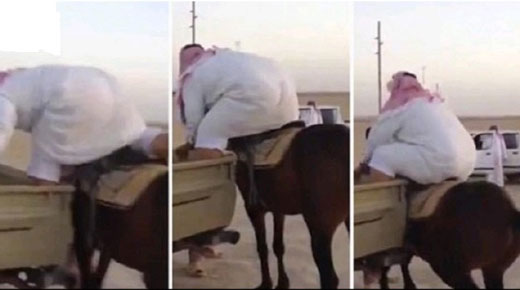 اسبی که با نشستن مرد عربستانی نشست کرد! + عکس