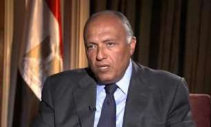 وزیر خارجه مصر: بحران سوریه راه حل نظامی ندارد