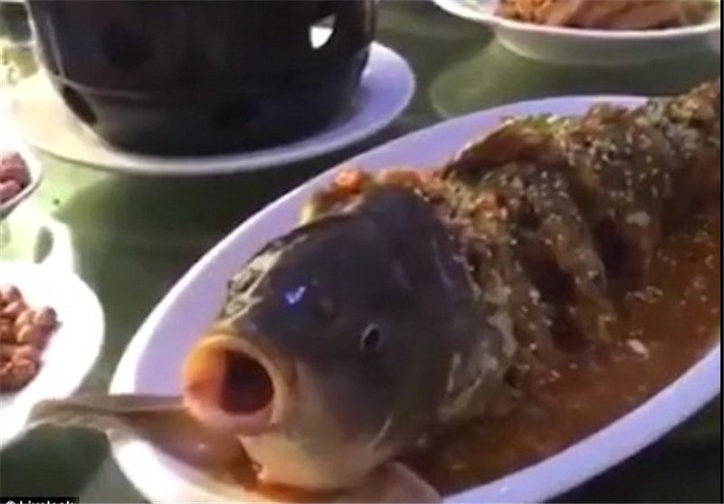 زنده‌شدن ماهی در ظرف غذای یک چینی + تصاویر