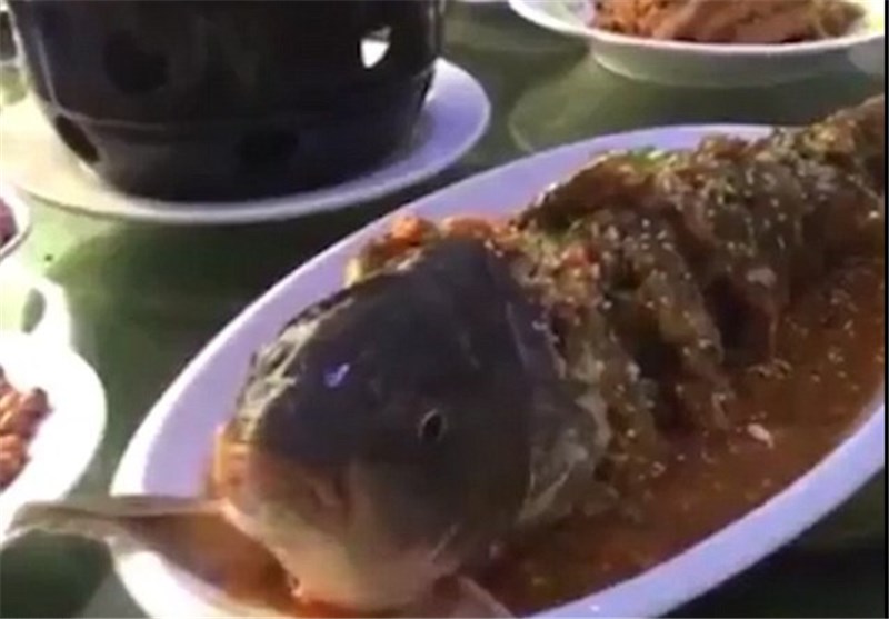 زنده‌شدن ماهی در ظرف غذای یک چینی + تصاویر