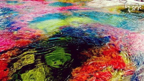 رودخانه 5 رنگ +عکس