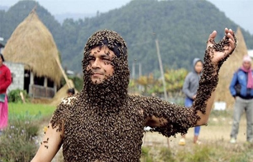 این مرد با زنبورها دوست است! + عکس