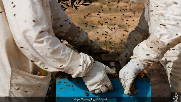 عسل داعشی وارد بازارهای لیبی شد! + عکس / ویژه عید 22