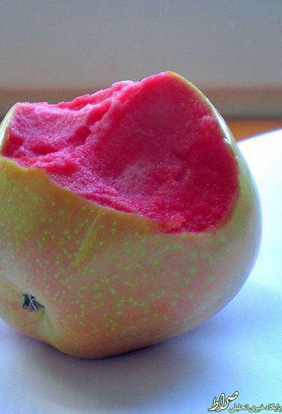 عجیب ترین سیب جهان+ عکس
