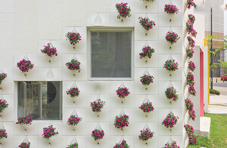 دیواری که با گلدان رنگ می شود +تصاویر
