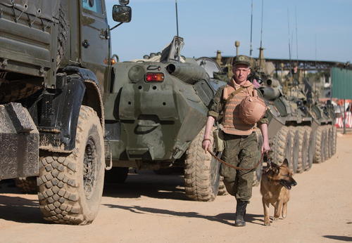 از نمایشگاه بین المللی سگ های خانگی تا سگ های آموزش دیده و مین یاب ارتش +تصاویر