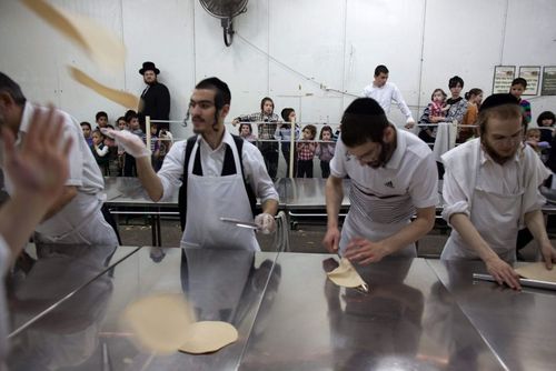 از خوراندن هندوانه به فیل تا پخت نان ماتزوس در نانوایی اسرائیل +تصاویر