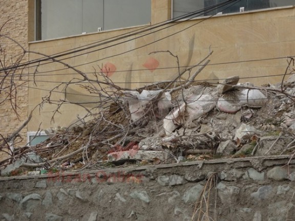 قطع درختان درکه توسط شهرداری برای ساخت پارکینگ+تصاویر