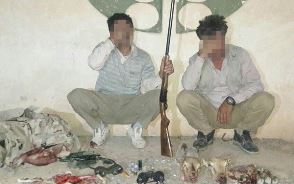 دستگیری دو شکارچی به همراه لاشه کل و بز وحشی در  کوه کلاه قاضی
