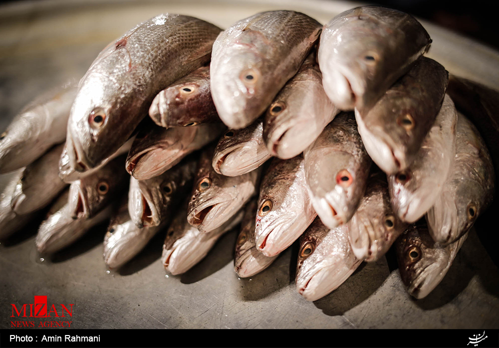 چشیدن طعم ماهی جنوب در بازار ماهی فروشان آبادان+عکس