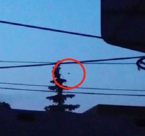 رصد بشقاب پرنده‌ گرد در آسمان‌ آمریکا + تصاویر