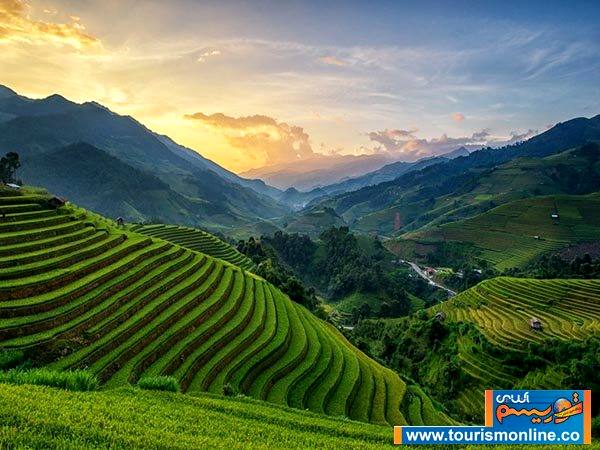مزارع پله ای برنج در روستای زیبا +عکس