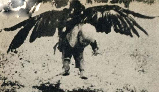 شکار پسر بچه ای ۳ ساله توسط عقاب +عکس