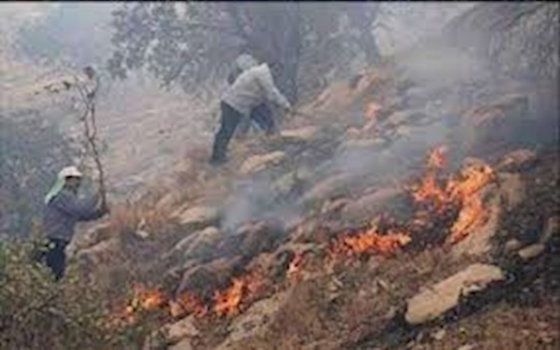 مهار آتش سوزی جنگل های رومشکان