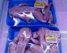 فروش گوشت قورباغه کره ای در تهران دروغ است