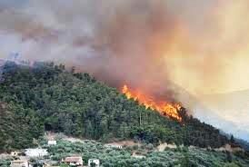 آتش سوزی ارتفاعات بیرمی تا ساعاتی دیگر مهار می شود/ صاعقه هشت هکتار را سوزاند