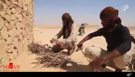 انتشار نخستین ویدئو از کلاس آموزش سربریدن داعش با انسان و گوسفند (16+)