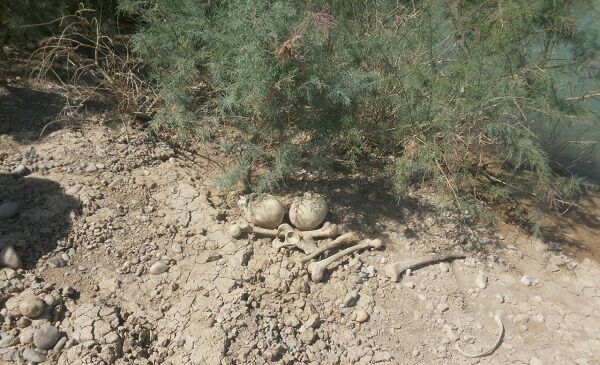 اجساد یک قبرستان آب شرب روستاییان را متعفن کرد+عکس