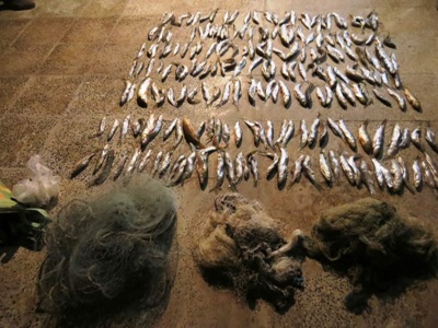 دستگیری 9 متخلف شکار و صید در بوشهر