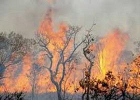 مهار آتش در جنگلهای ارتفاعات سریوان گیلانغرب