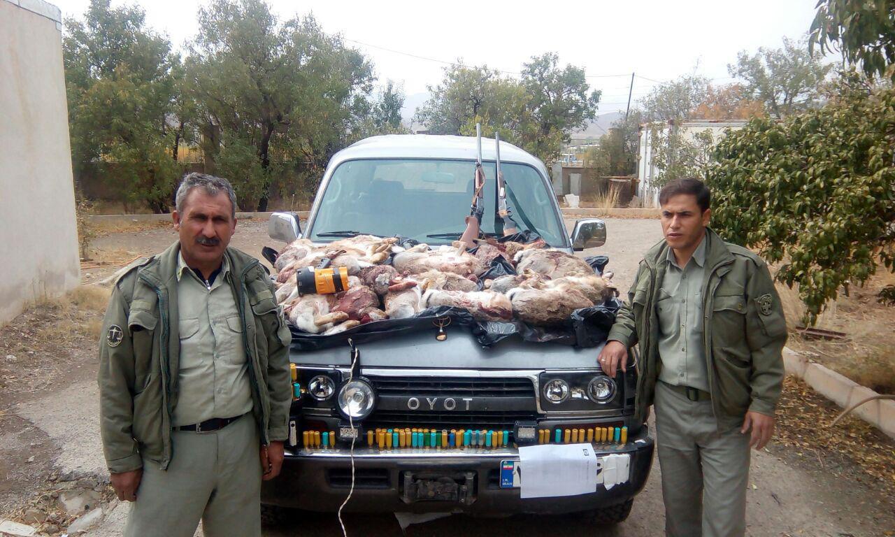 دستگیری 6 شکارچی غیرمجاز در زنجان