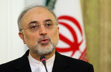 دولت‌های برخی کشورهای منطقه به دستاوردهای هسته‌ای ایران حسادت می‌کنند