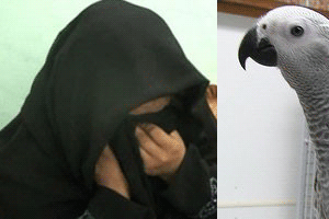 دستگیری‌ یک طوطی به‌ خاطر فحاشی!