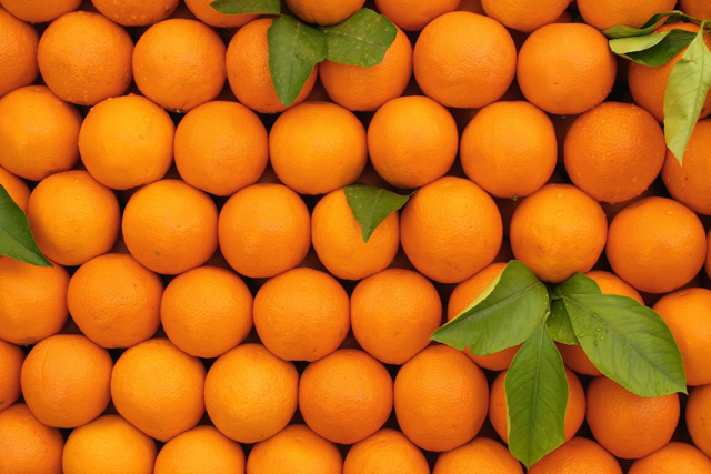 فراوانی عرضه قیمت پرتقال را کاهش داد/ نارنگی گران شد