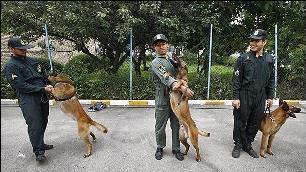 ورود سگ های جسد یاب و زنده یاب به پلیس آگاهی