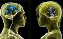 خطر ضربه مغزی در مردان دو برابر زنان