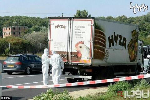کشف جنازه در کامیون حمل گوشت+تصاویر