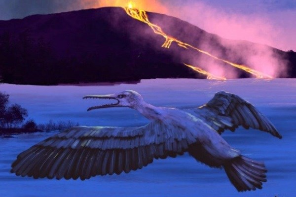 کشف فسیل پرنده 90 میلیون ساله؛ کلید پیش‌بینی آینده زمین+تصاویر