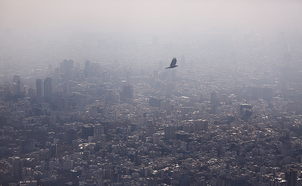 کاسبی جدید با اکسیژن فروشی در هوای آلوده