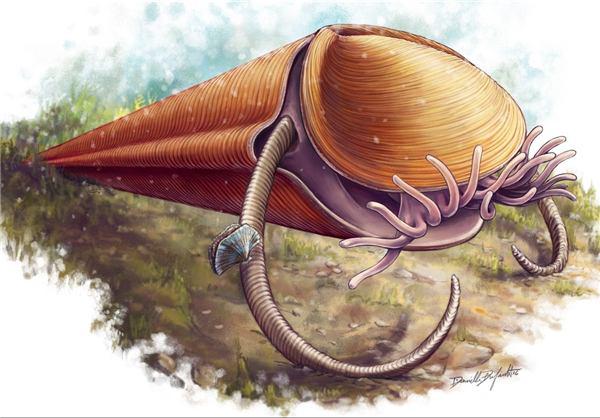 کشف فسیل جانوری که 250 میلیون سال قبل زندگی می‌کرد