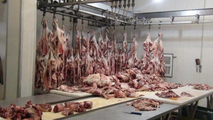 کشف 700 کيلوگرم گوشت منجمد فاقد مجوز بهداشتی