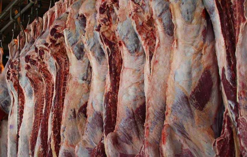 افزایش عرضه گوشت قرمز گرم در روزهای آینده