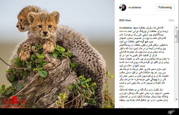 اقدامات سازمان محیط زیست برای حفاظت از یوزپلنگ ایرانی
