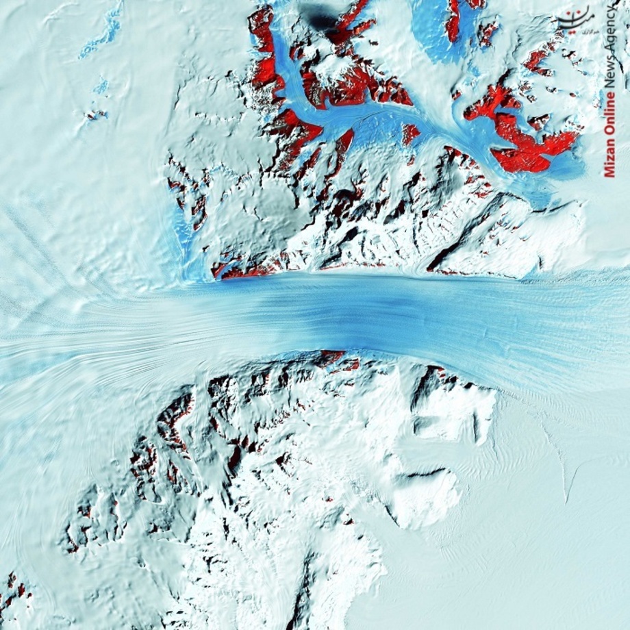 یخچال برد در قطب جنوب