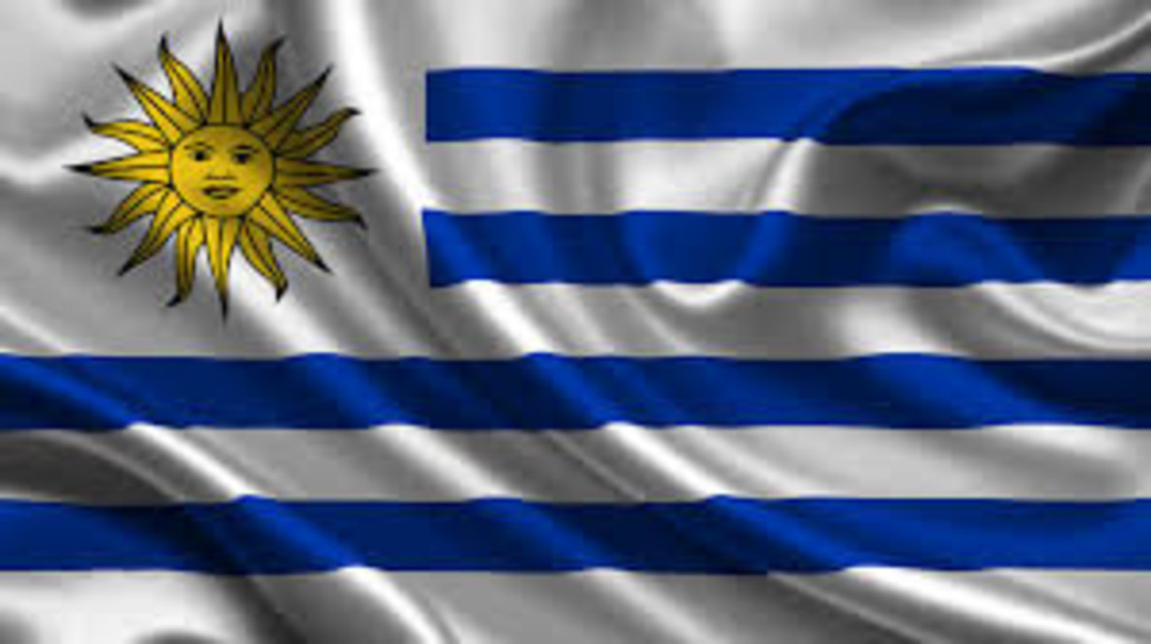 اروگوئه: آبی آسمانی لقب این کشور است که از رنگ پیراهن این تیم نشات می‌گیرد. البته از لقب پنجه آبی به خاطر جنگندگی این تیم نیز استفاده می‌شود. به اروگوئه چارئواس نیز می‌گویند این نام به یک روستای محلی واقع در اروگوئه مربوط است.