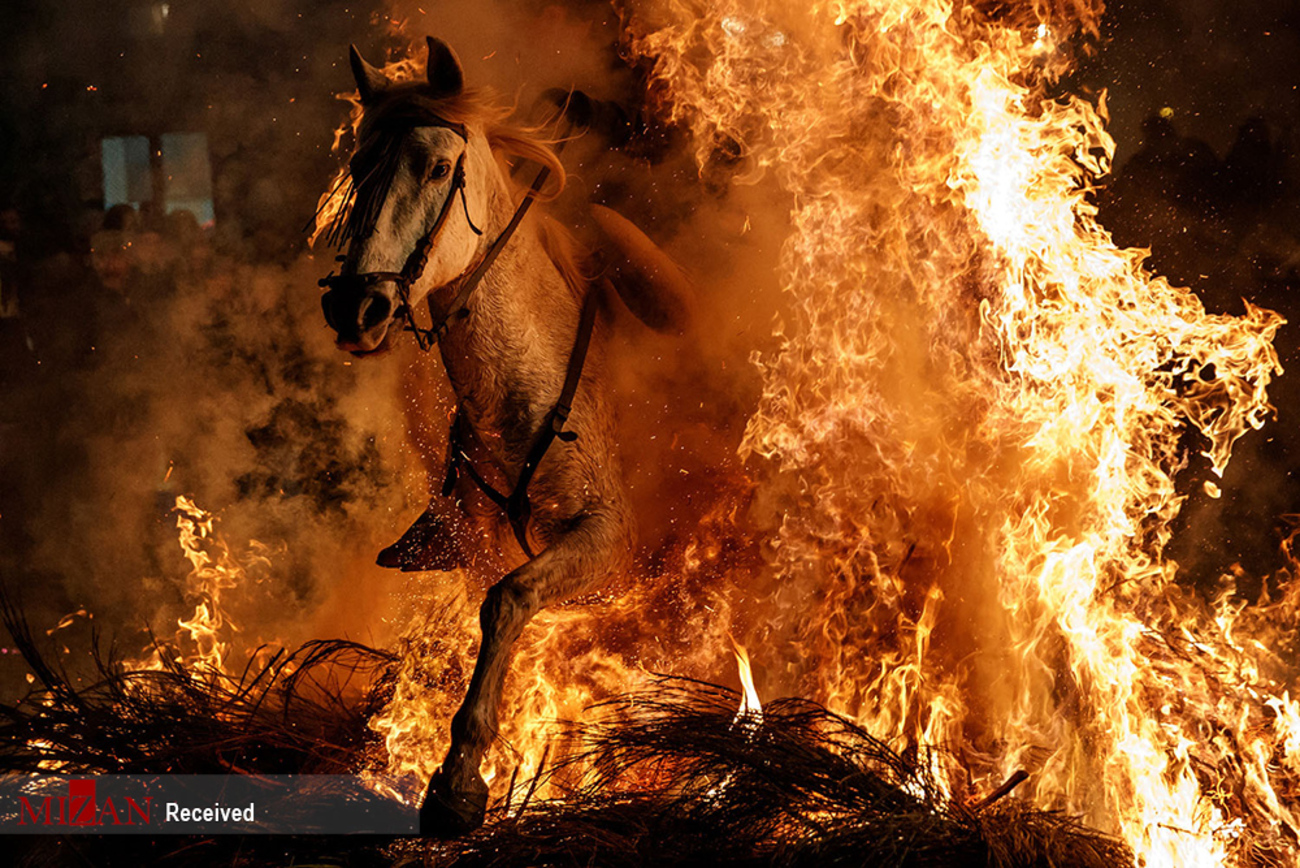 عبور با اسب در جشنواره سنتی اسپانیا