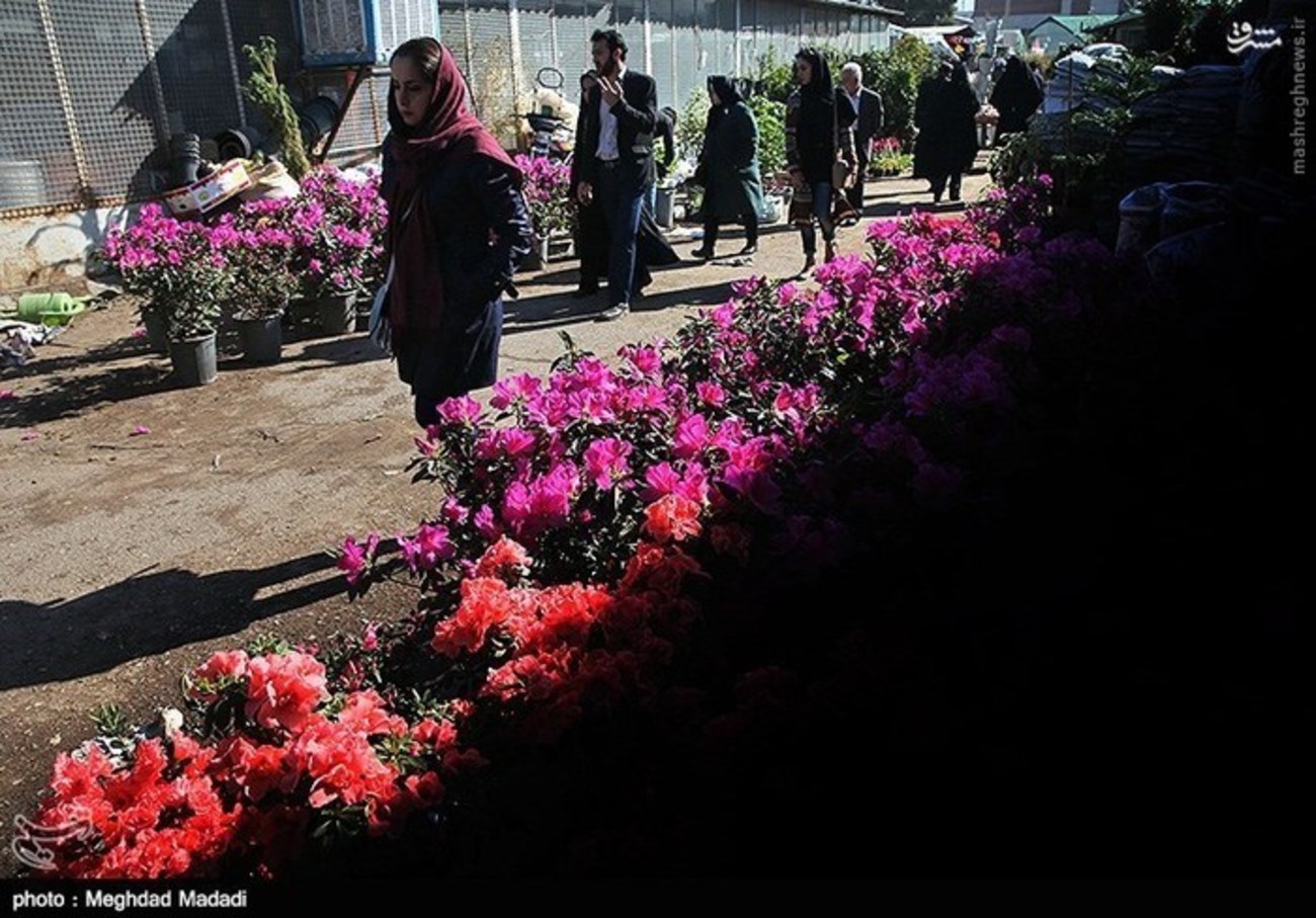 بازار گل و گیاه تهران 