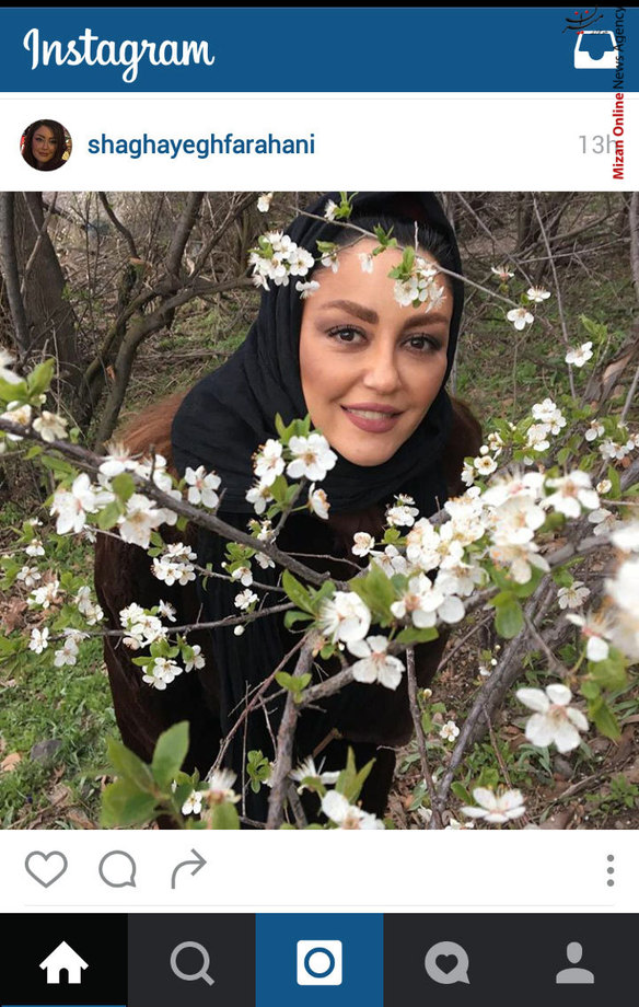 شقایق فراهانی میان شکوفه های بهاری