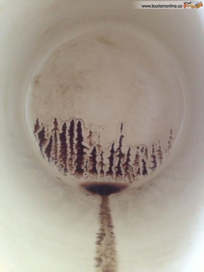ته مانده یک فنجان قهوه و چیزی شبیه به یک جنگل!