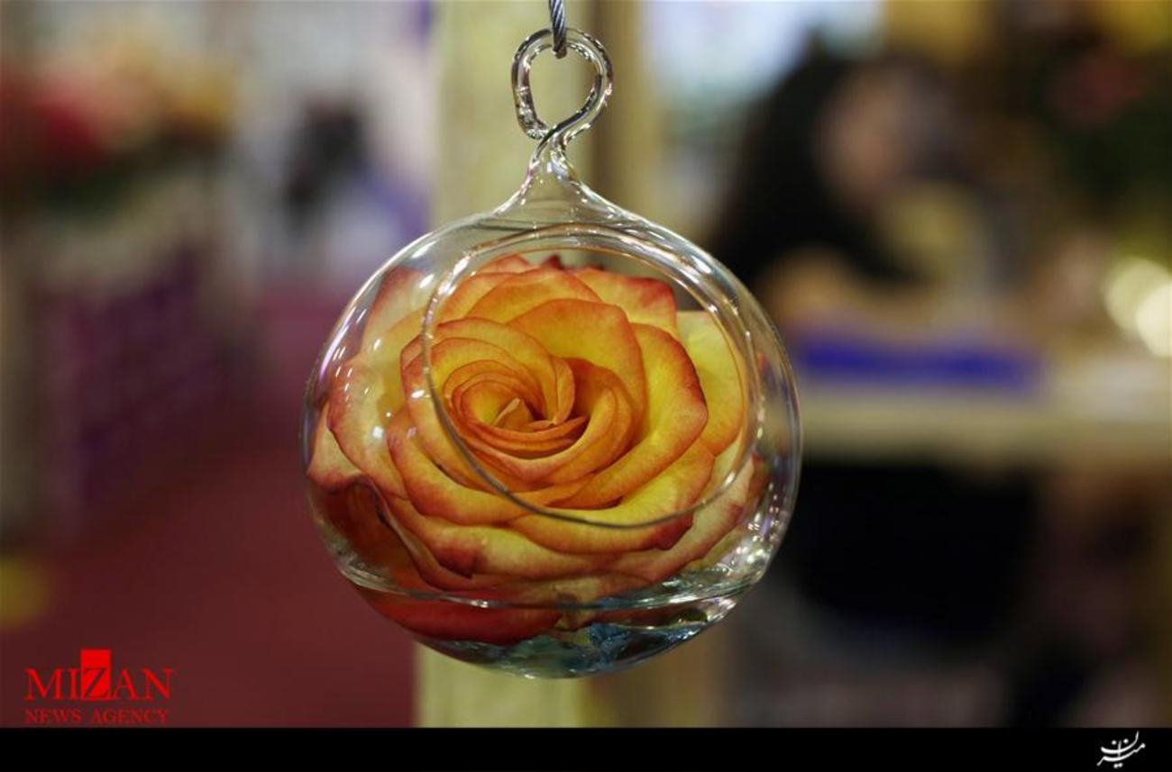 نمایشگاه گلهای رنگی فلزی در Quito اکوادور