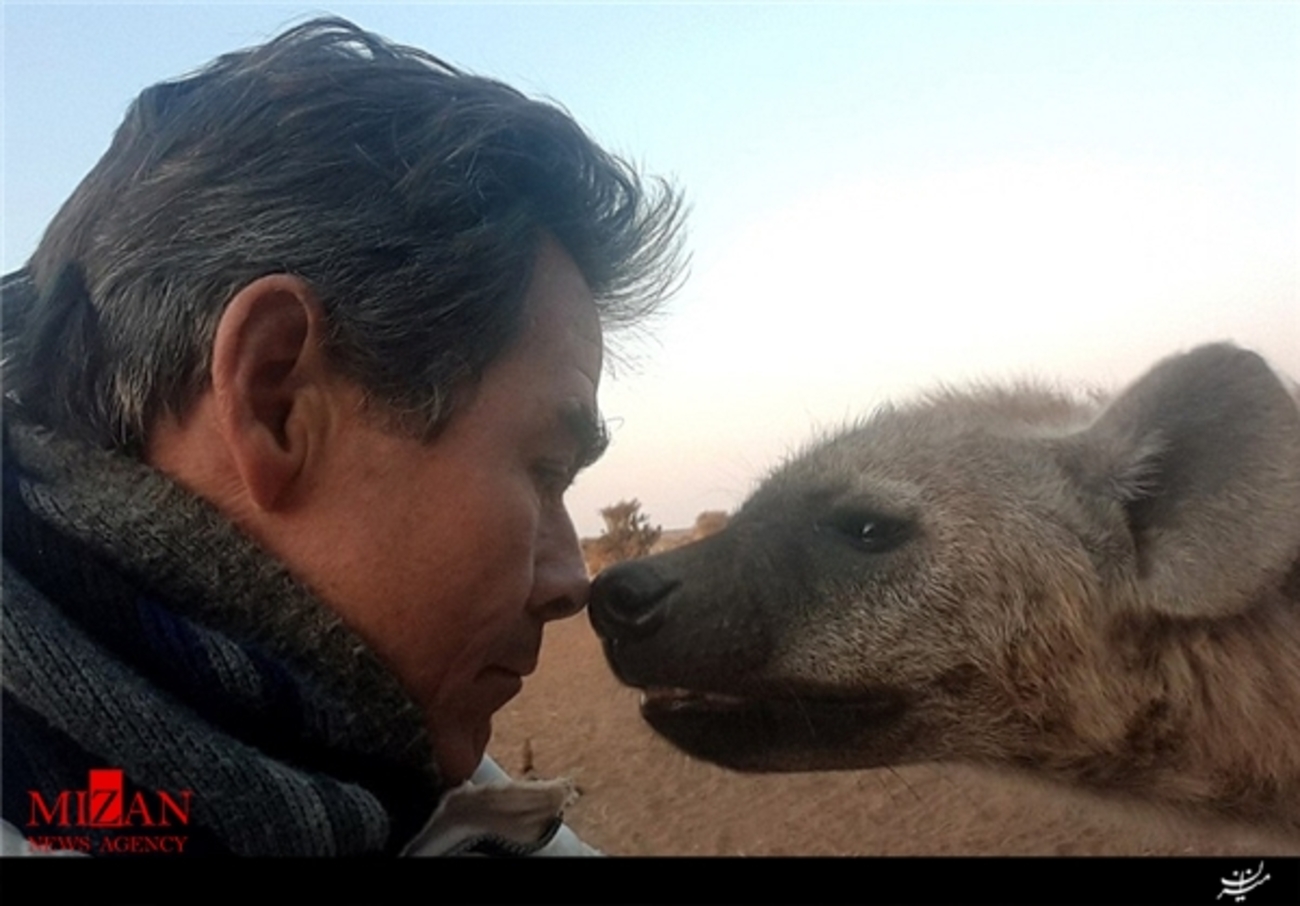 «کیم ولهاتر» از عکاسان حیات وحش که در منطقه حفاظت شده بتسوانا با یک کفتار وحشی عکس سلفی گرفته است