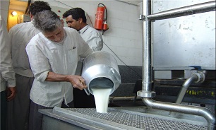 پیش‌بینی 3 مسئول: بحران کمبود شیر و سونامی واردات در آینده‌ای نزدیک